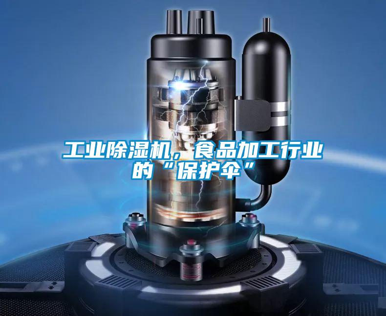 工業(yè)除濕機(jī)，食品加工行業(yè)的“保護(hù)傘”