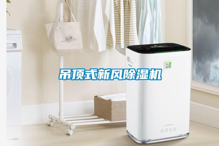 吊頂式新風(fēng)除濕機