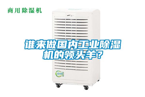誰(shuí)來(lái)做國(guó)內(nèi)工業(yè)除濕機(jī)的領(lǐng)頭羊？