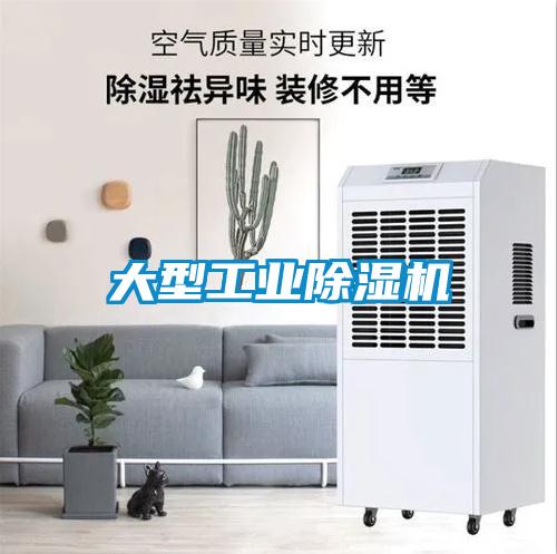大型工業(yè)除濕機