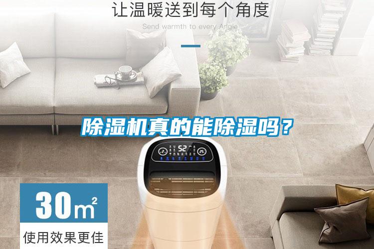 除濕機真的能除濕嗎<div   id=