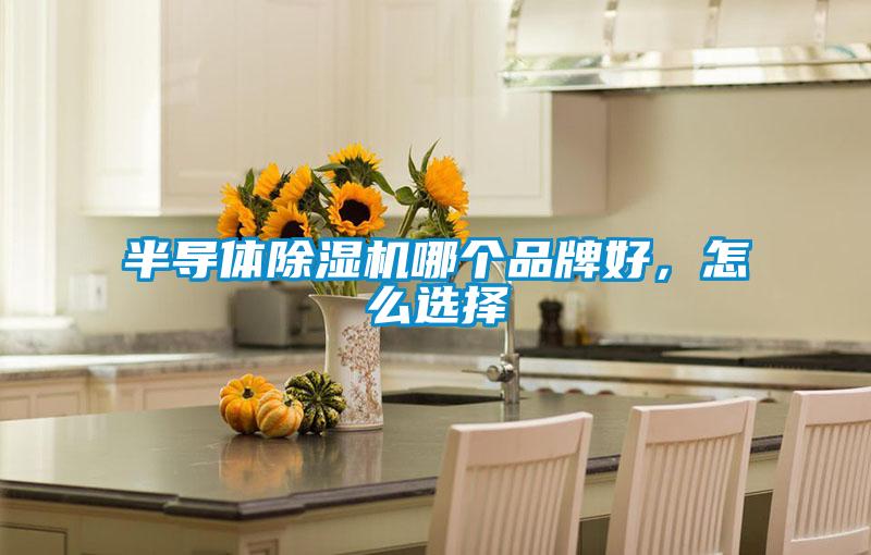 半導(dǎo)體除濕機(jī)哪個(gè)品牌好<div   id=
