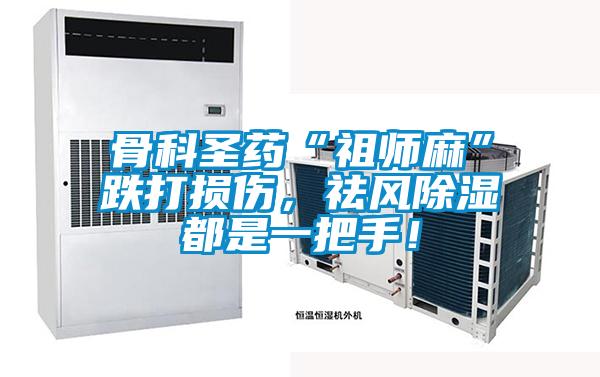 骨科圣藥“祖師麻”跌打損傷<div   id=