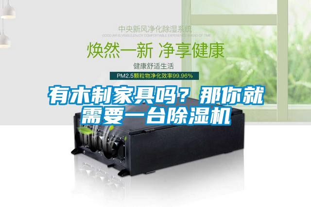 有木制家具嗎？那你就需要一臺(tái)除濕機(jī)