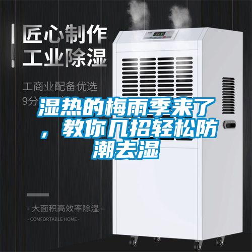 濕熱的梅雨季來了<div   id=