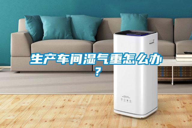 生產(chǎn)車(chē)間濕氣重怎么辦<div   id=
