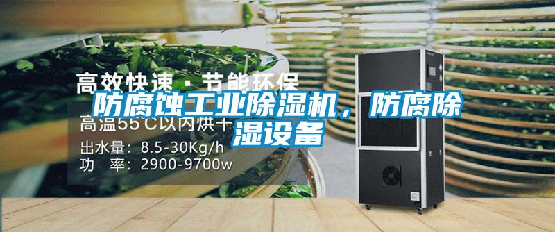防腐蝕工業(yè)除濕機(jī)，防腐除濕設(shè)備