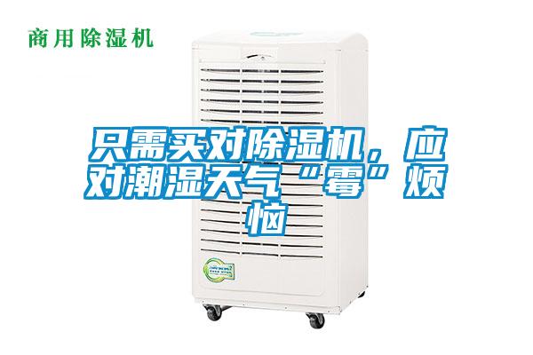 只需買對除濕機(jī)<div   id=