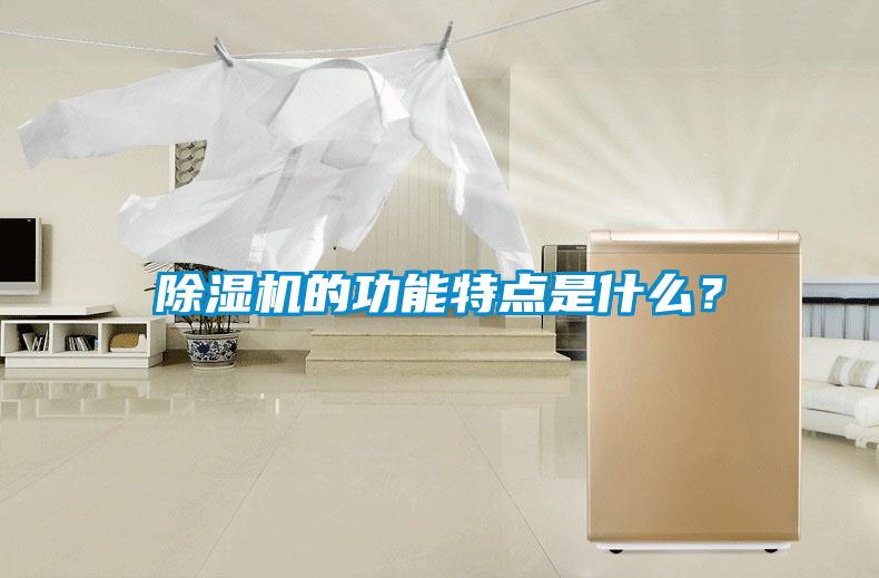 除濕機(jī)的功能特點(diǎn)是什么?