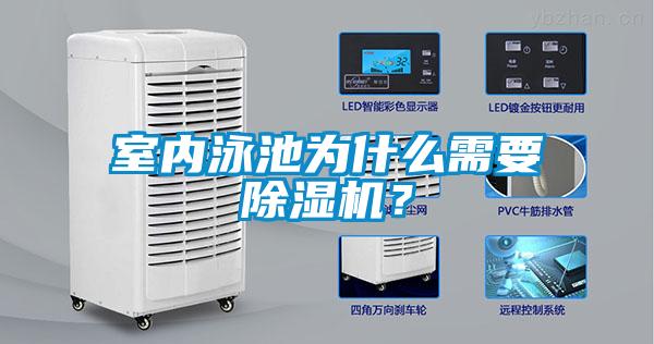 室內(nèi)泳池為什么需要除濕機？