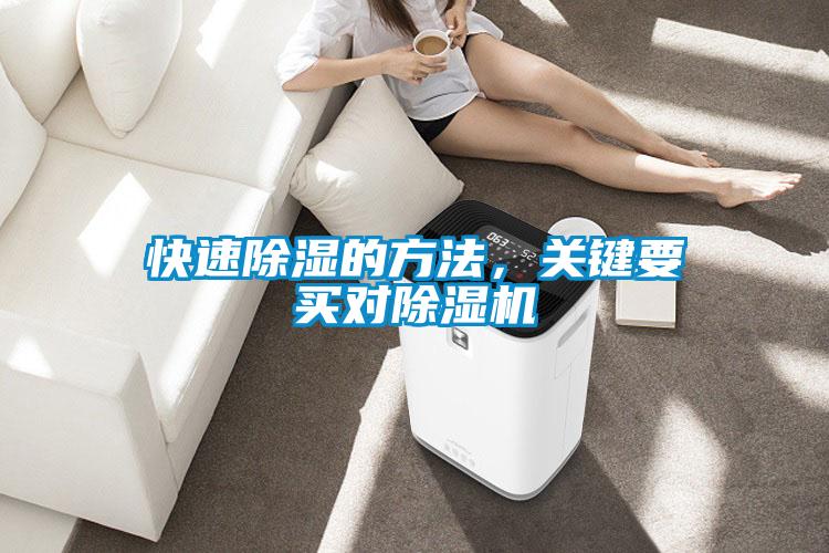 快速除濕的方法<div   id=