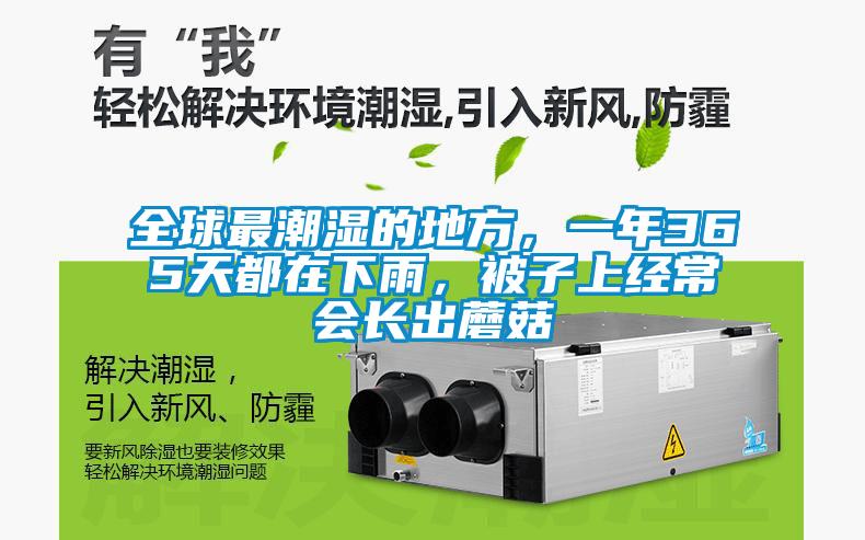 全球最潮濕的地方<div   id=