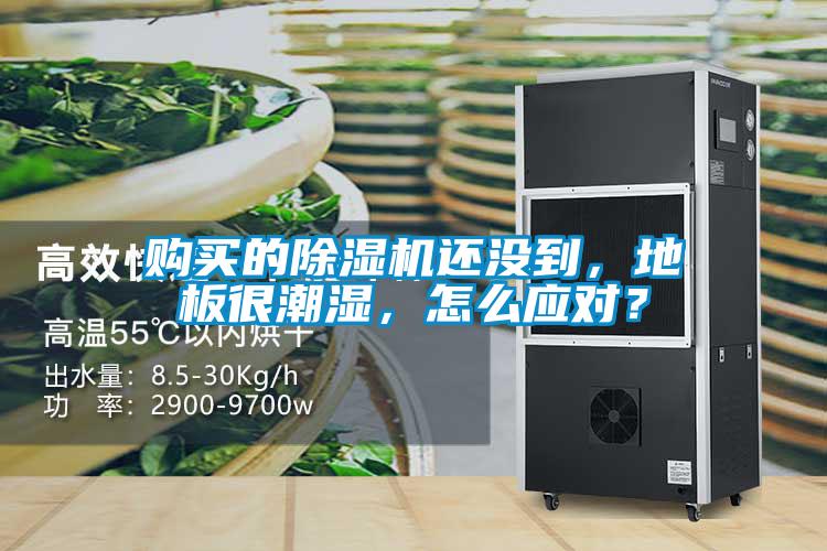 購(gòu)買的除濕機(jī)還沒到<div   id=