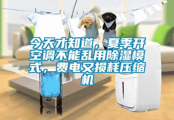 今天才知道<div   id=