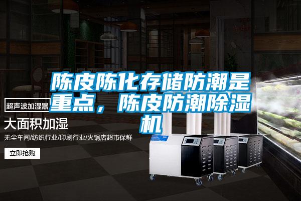 陳皮陳化存儲(chǔ)防潮是重點(diǎn)<div   id=