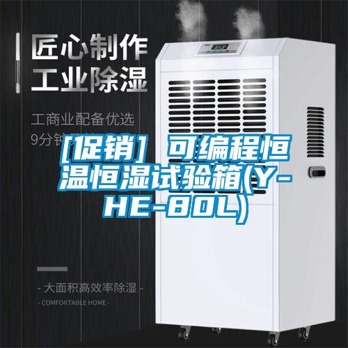 [促銷] 可編程恒溫恒濕試驗(yàn)箱(Y-HE-80L)