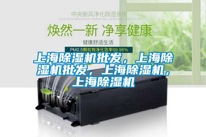 上海除濕機(jī)批發(fā)<div   id=