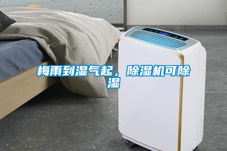 梅雨到濕氣起<div   id=