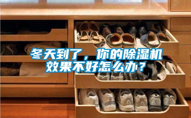冬天到了，你的除濕機(jī)效果不好怎么辦<div   id=