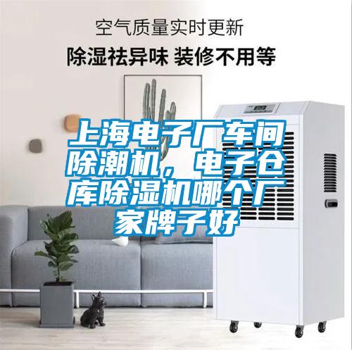 上海電子廠車間除潮機<div   id=