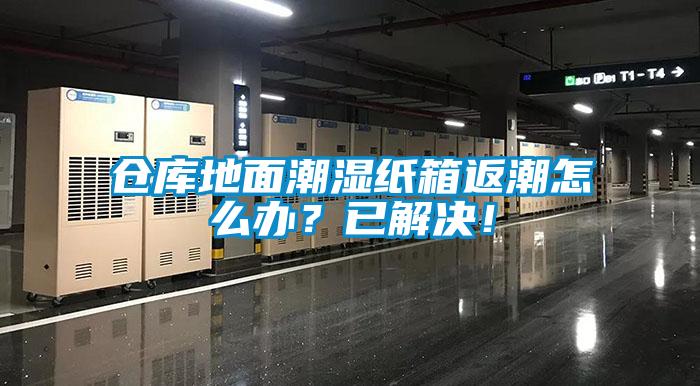 倉庫地面潮濕紙箱返潮怎么辦<div   id=