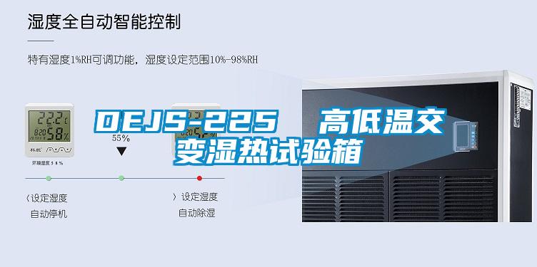 DEJS-225 高低溫交變濕熱試驗箱