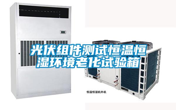 光伏組件測試恒溫恒濕環(huán)境老化試驗(yàn)箱