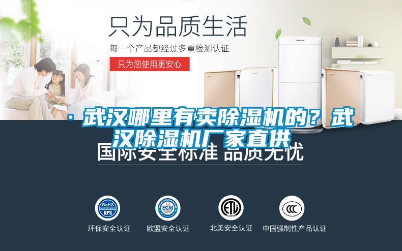 ·武漢哪里有賣除濕機(jī)的<div   id=