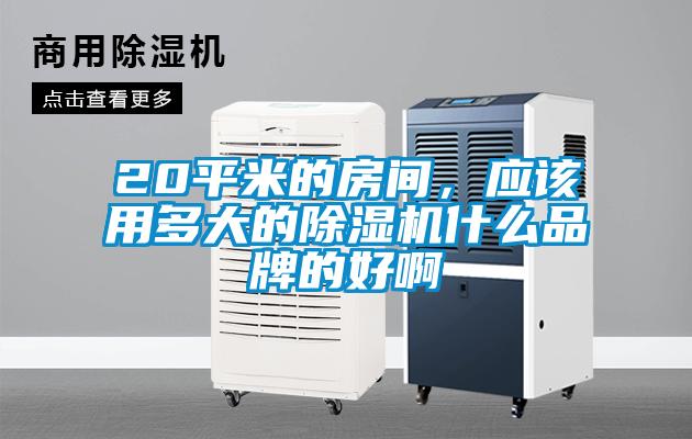 20平米的房間<div   id=