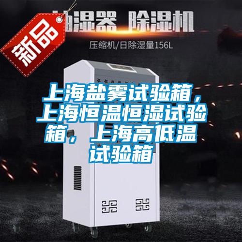 上海鹽霧試驗(yàn)箱<div   id=