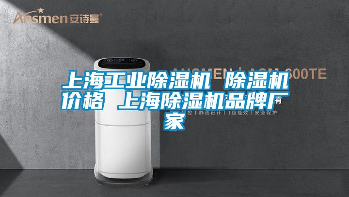 上海工業(yè)除濕機(jī) 除濕機(jī)價格 上海除濕機(jī)品牌廠家