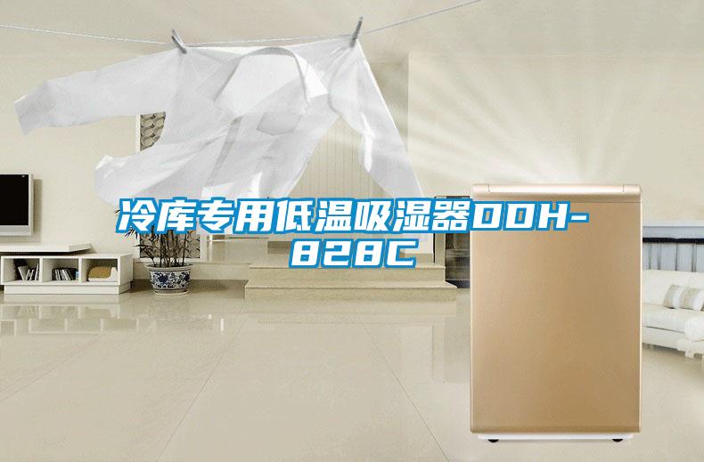 冷庫(kù)專用低溫吸濕器DDH-828C