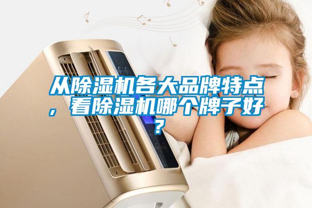 從除濕機各大品牌特點, 看除濕機哪個牌子好<div   id=