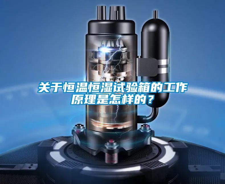 關(guān)于恒溫恒濕試驗(yàn)箱的工作原理是怎樣的?