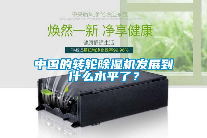 中國的轉(zhuǎn)輪除濕機發(fā)展到什么水平了<div   id=