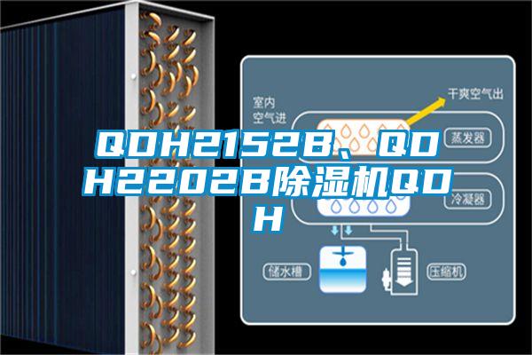 QDH2152B<div   id=