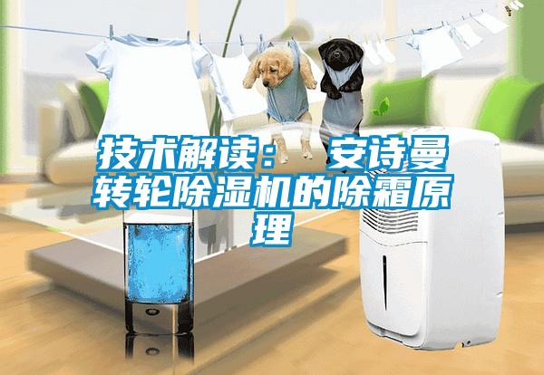 技術(shù)解讀: 安詩曼轉(zhuǎn)輪除濕機(jī)的除霜原理