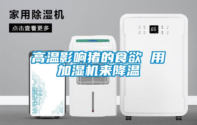高溫影響豬的食欲 用加濕機(jī)來(lái)降溫
