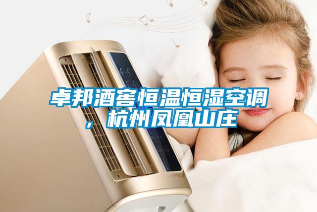 卓邦酒窖恒溫恒濕空調(diào)<div   id=