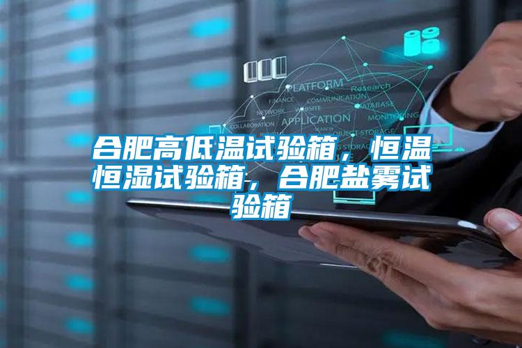 合肥高低溫試驗(yàn)箱<div   id=