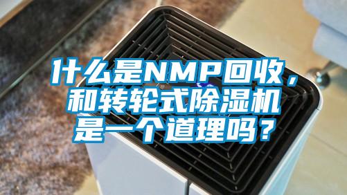 什么是NMP回收<div   id=