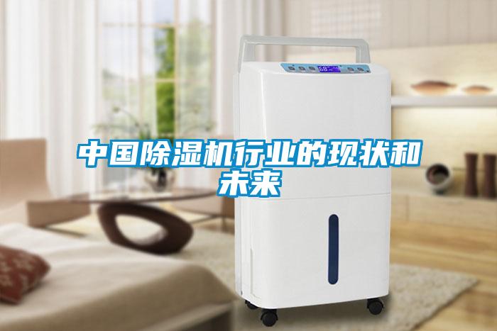 中國除濕機(jī)行業(yè)的現(xiàn)狀和未來