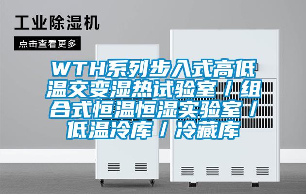 WTH系列步入式高低溫交變濕熱試驗室／組合式恒溫恒濕實驗室／低溫冷庫／冷藏庫