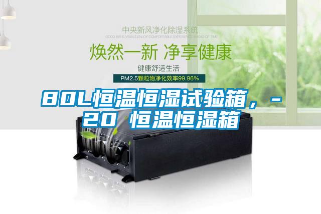 80L恒溫恒濕試驗箱<div   id=