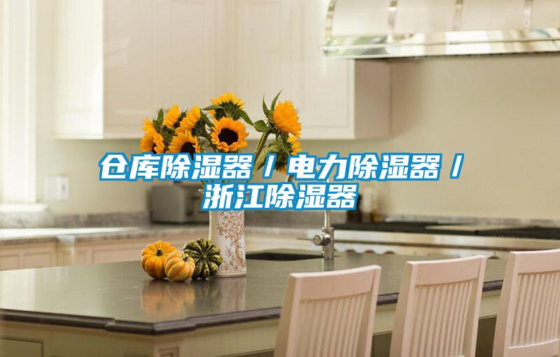 倉(cāng)庫(kù)除濕器／電力除濕器／浙江除濕器