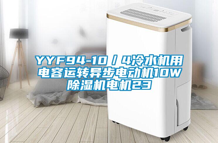 YYF94-10／4冷水機(jī)用電容運(yùn)轉(zhuǎn)異步電動機(jī)10W除濕機(jī)電機(jī)23
