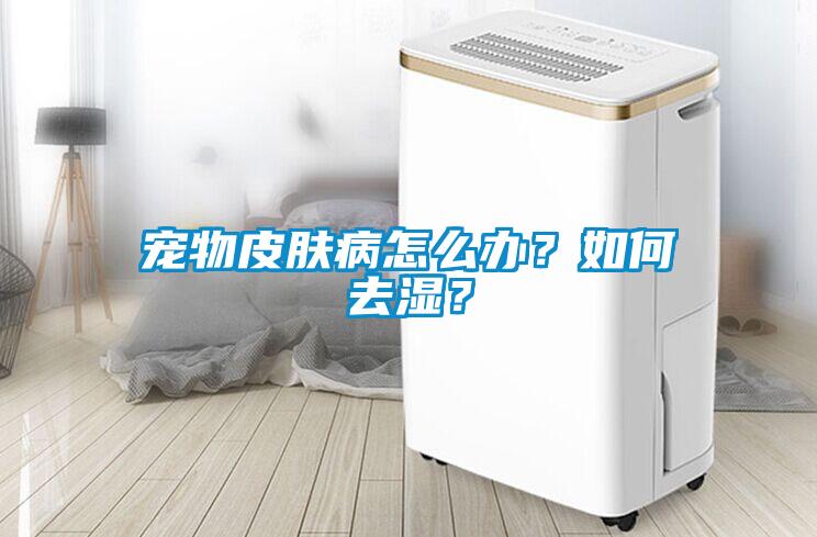 寵物皮膚病怎么辦？如何去濕<div   id=