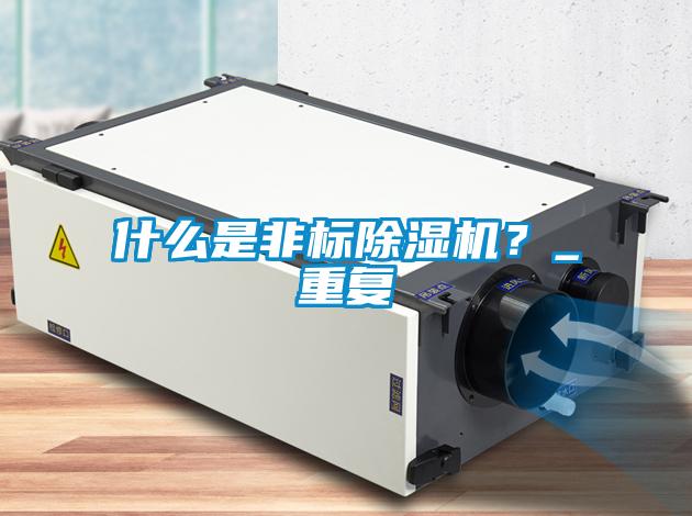 什么是非標(biāo)除濕機(jī)<div   id=