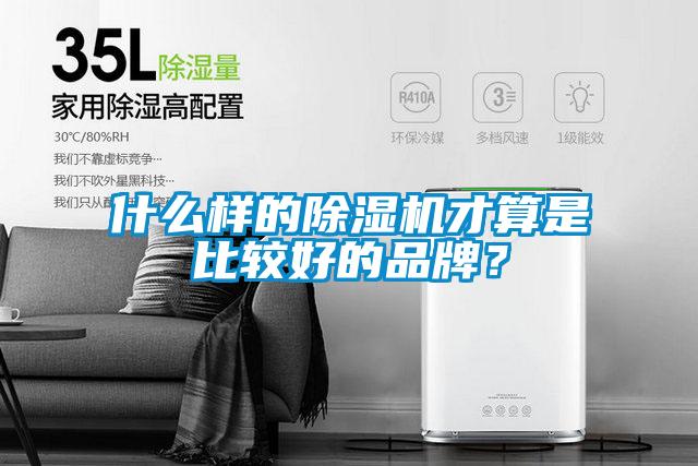 什么樣的除濕機才算是比較好的品牌<div   id=