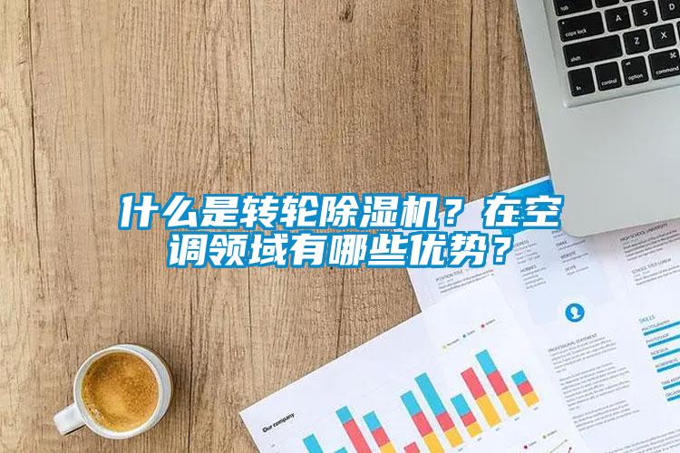 什么是轉(zhuǎn)輪除濕機(jī)？在空調(diào)領(lǐng)域有哪些優(yōu)勢(shì)<div   id=